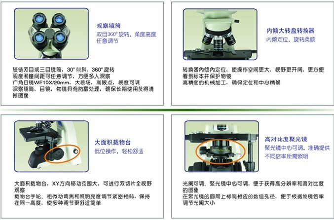 视频生物显微镜