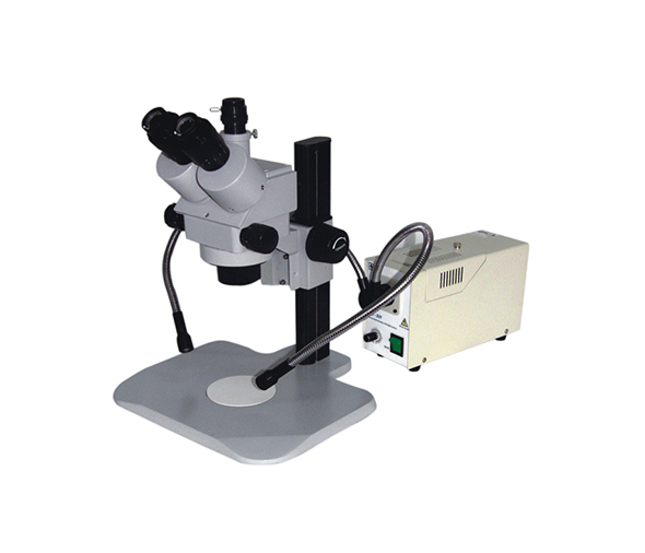 显微镜配冷光源